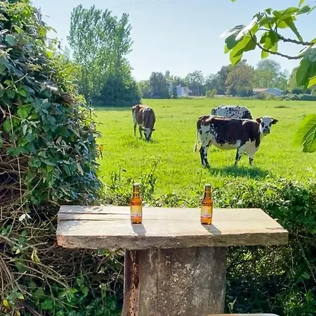 בית הארחה Les Acacias 3*