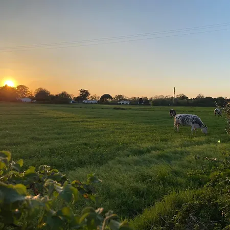 בית הארחה Les Acacias