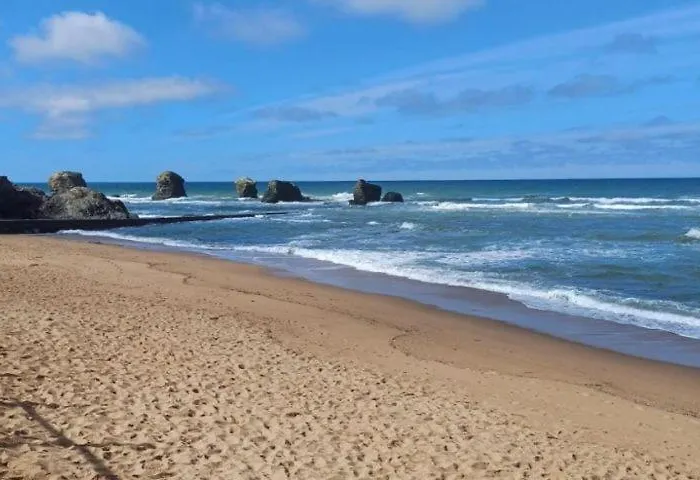 Pensjonat Les Acacias