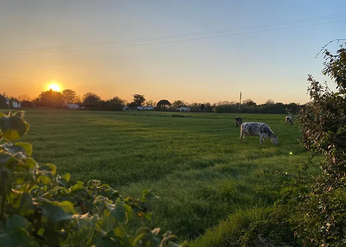 Pensjonat Les Acacias